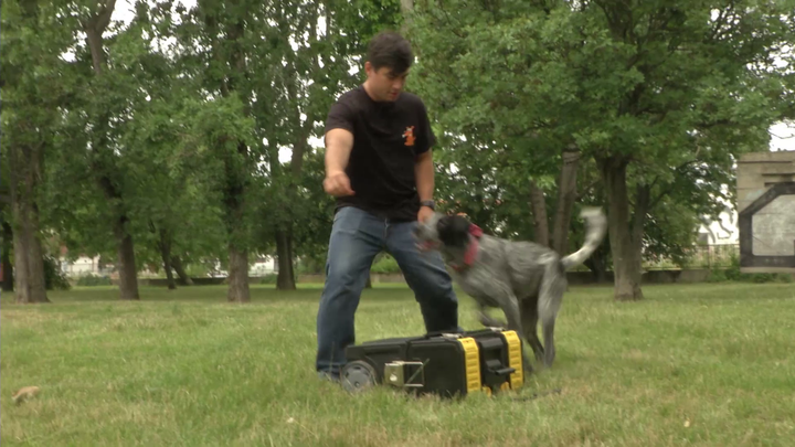 Miláčikovo - Trik môžeme sťažiť aj preskokom cez prekážky